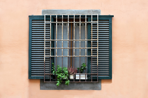 Vintage window with iron grate and wooden shutters decorated with fresh potted flowers