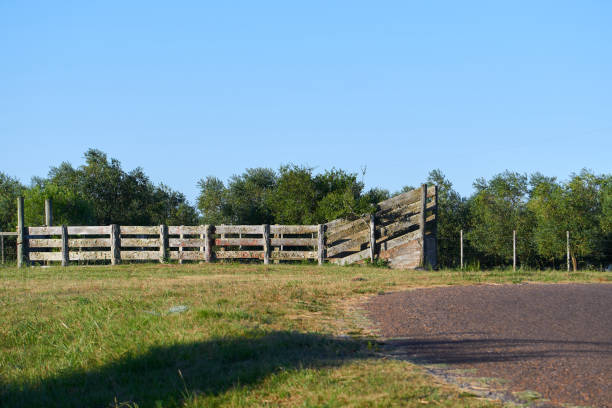 istock beautiful mountain ranges in eastern Uruguay for walking and hiking 1307836536
