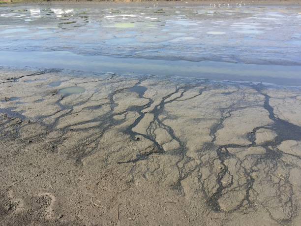 istock dirty muddy in country Thailand 1307846330