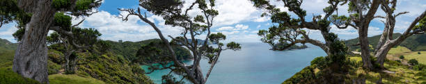 istock Harataonga Beach below from top of Loop Track on Great Barrier Island. 1307855245
