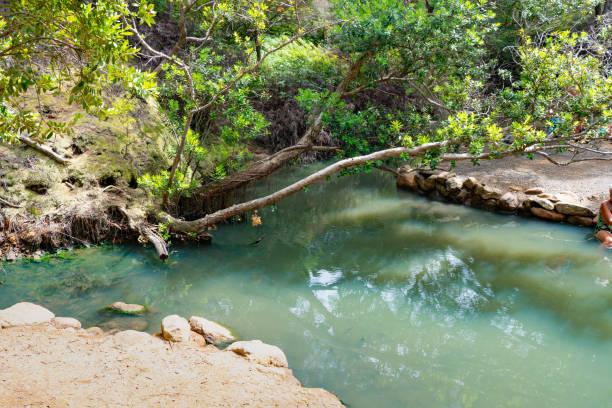 istock Kaitoke Hot Springs Pools 1307855967