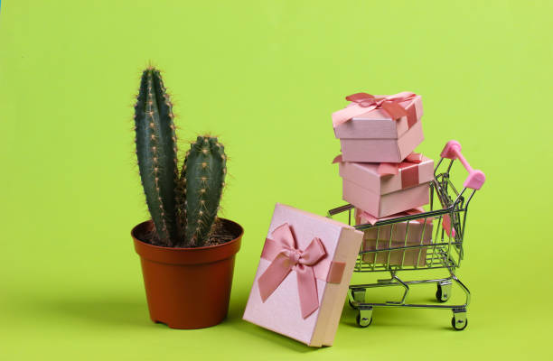 istock Cactus in pot and shopping trolley with gift boxes on green studio background. Minimalism 1307865111