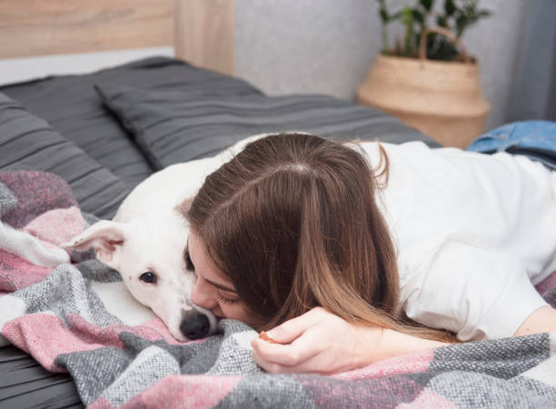istock Portrait girl with pet. 1307865295