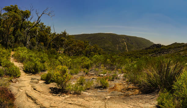 istock Grampians National Park 1307867188