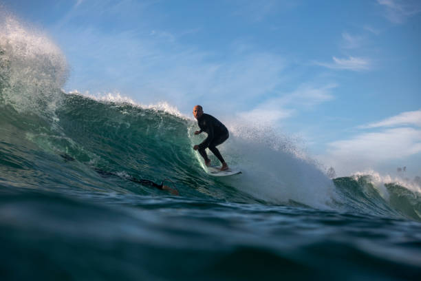 surfista al amanecer bondi beach - 7583 fotografías e imágenes de stock