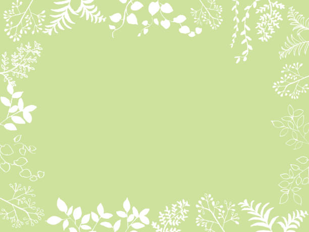 ilustrações de stock, clip art, desenhos animados e ícones de natural leaf frame illustration - fern forest ivy leaf