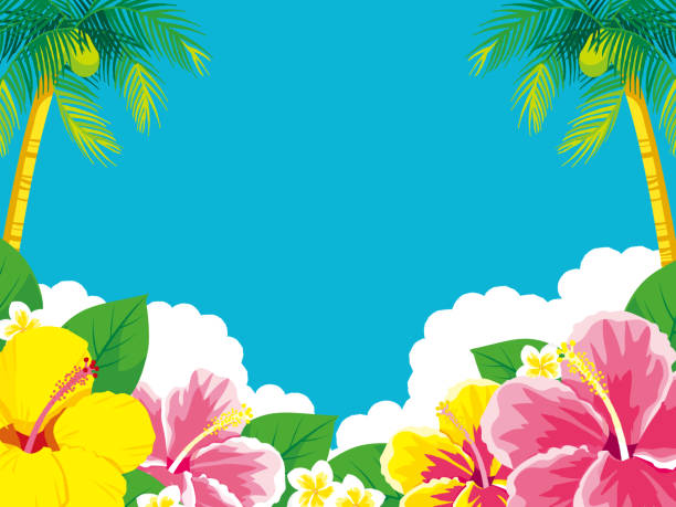 Tropical flowers hibiscus background Tropical flowers hibiscus background hawaii islands illustrations stock illustrations