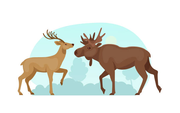 Woodland forest animals. Cute wild forest animals elk and deer Woodland forest animals. Cute wild forest animals elk and deer flat cartoon vector how to draw a moose drawing stock illustrations
