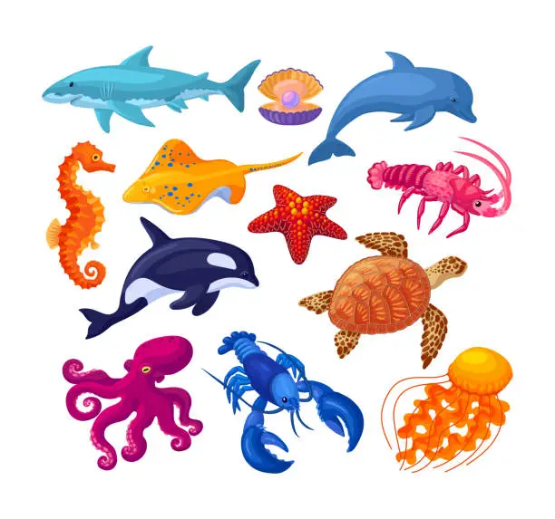 Vector illustration of Sea and ocean underwater animals. Seahorse, sea turtle, stingray, shark, killer whale, lobster, octopus, starfish, jellyfish, dolphin, pearl clam, lobster. Sea life marine animals cartoon