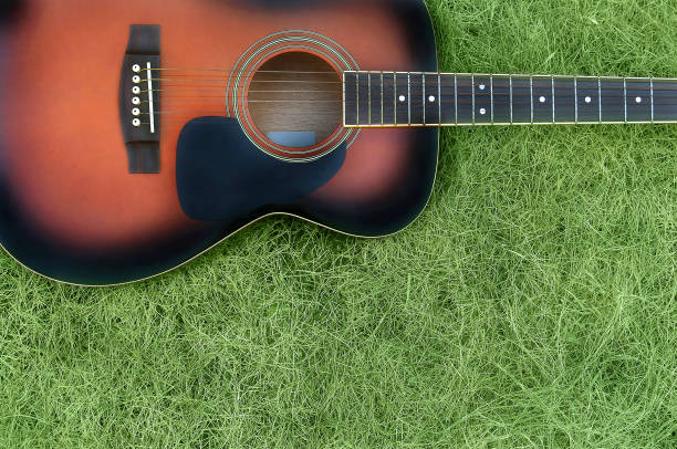 istock Guitar on the Lawn 1307876168