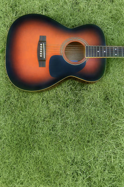istock Guitar on the Lawn 1307876313