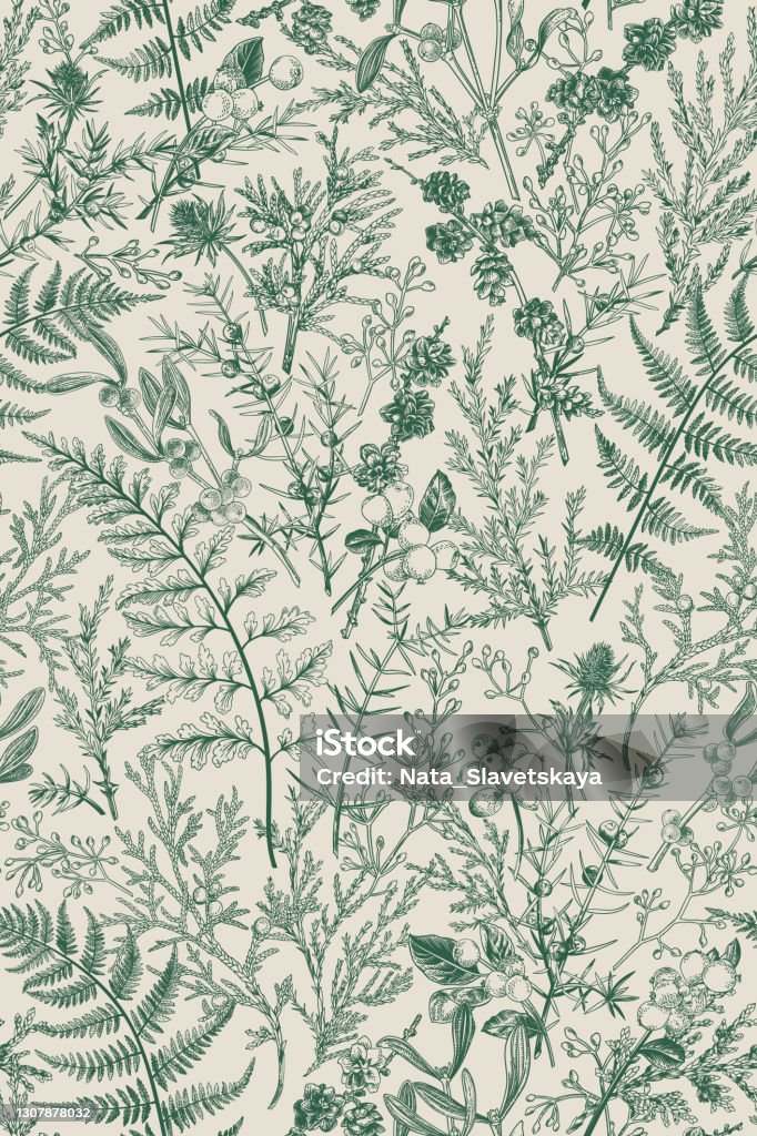 Botanical seamless hand-drawn pattern. Botanical seamless hand-drawn pattern with coniferous branches, plants and berries. Vintage engraving style. Vertical format. Monochrome graphics. Vector illustration. Pattern stock vector Botanical seamless hand-drawn pattern. Botanical seamless hand-drawn pattern with coniferous branches, plants and berries. Vintage engraving style. Vertical format. Monochrome graphics. Vector illustration. Pattern stock vector