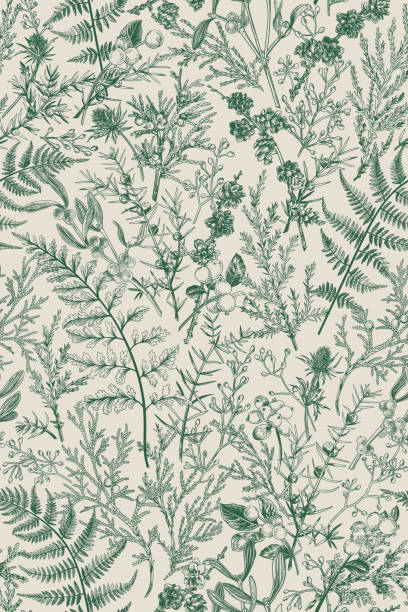 Botanical seamless hand-drawn pattern. Botanical seamless hand-drawn pattern with coniferous branches, plants and berries. Vintage engraving style. Vertical format. Monochrome graphics. Vector illustration. vintage flowers stock illustrations