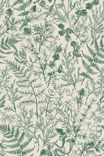 Botanical seamless hand-drawn pattern. Botanical seamless hand-drawn pattern with coniferous branches, plants and berries. Vintage engraving style. Vertical format. Monochrome graphics. Vector illustration. thistle stock illustrations