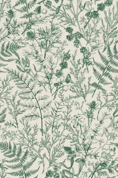 Vector illustration of Botanical seamless hand-drawn pattern.