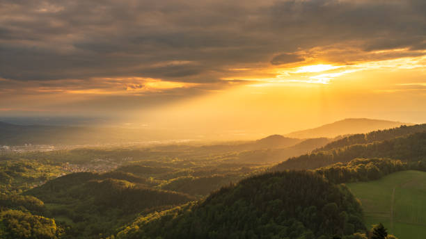 istock The wonderful black forest during the golden hour 1307880538