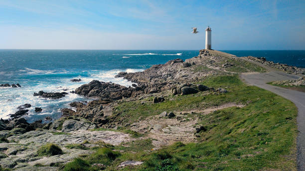 Roncudo lighthouse , Galicia, A Coruña , Spain Cape Roncudo lighthouse in Ponteceso, A Coruña province, Galicia,, Spain. Winding road, rocky coastline, horizon over water, clear sky and seagull passing. galicia stock pictures, royalty-free photos & images