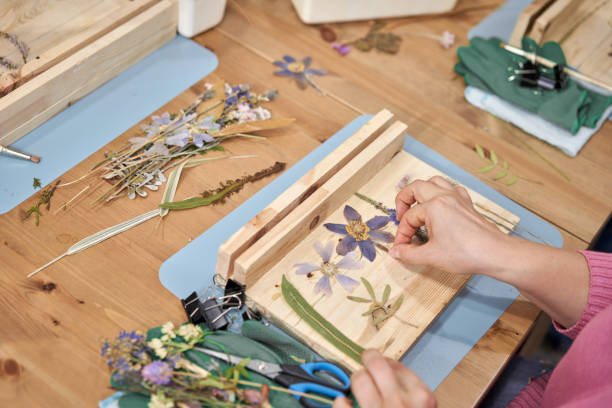 istock A woman lays out a composition. Master class on creating frame with Herbarium in tiffany technique in stained glass. Herbarium of dried different plants and flowers placed under a glass 1307881141