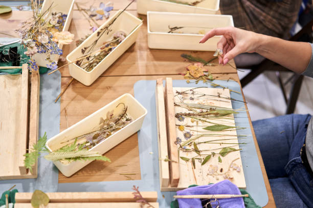 istock A woman lays out a composition. Master class on creating frame with Herbarium in tiffany technique in stained glass. Herbarium of dried different plants and flowers placed under a glass 1307881205
