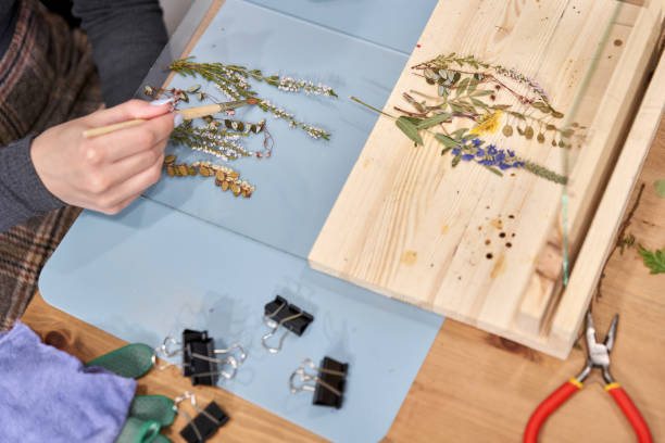 istock A woman lays out a composition. Master class on creating frame with Herbarium in tiffany technique in stained glass. Herbarium of dried different plants and flowers placed under a glass 1307881940
