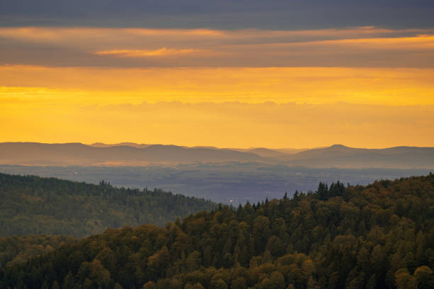 istock Acolorful sunset in the black forest with a view over Alsace 1307881993
