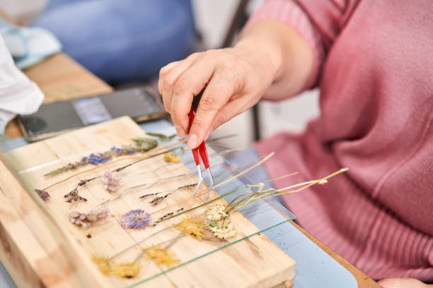 Master class on creating frame with Herbarium in tiffany technique in stained glass. Herbarium of dried different plants and flowers placed under a glass for beauty as a keepsake. Decoration and decor for a cozy home