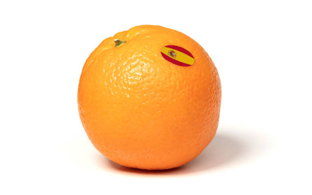 istock Large orange from Spain isolated on a white background 1307883516