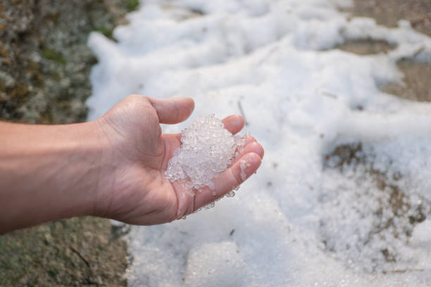 istock Man collect hailstorm crystals after an unusual ice storm,climate weather changes 1307885351