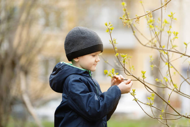 Cute boy carefully holding branch with young sprouts. Healthy, lifestyle, earth hour, ecology concept.