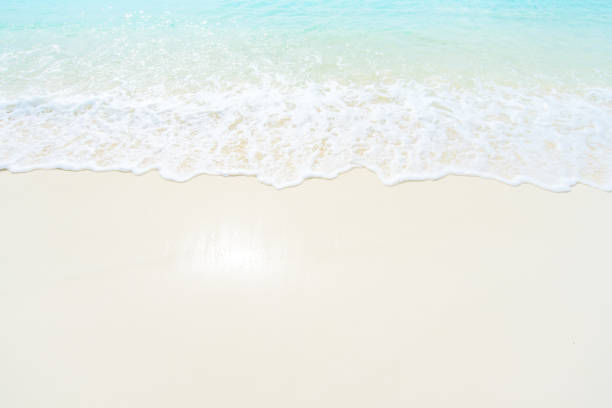 istock Soft wave of blue ocean on sandy beach 1307889349