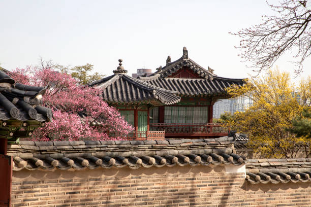 istock The spring in Changdukgung Palace 1307893144