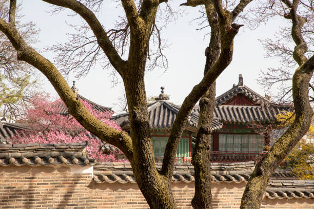 istock The spring in Changdukgung Palace 1307893240