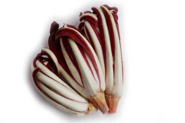 Radicchio tardivo, italian red chicory isolated on white background. Italian red salad on white on selective focus