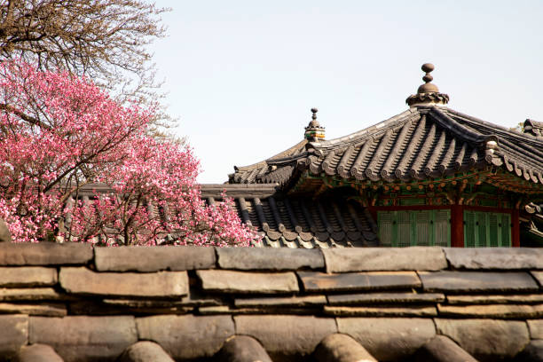 istock The spring in Changdukgung Palace 1307894370