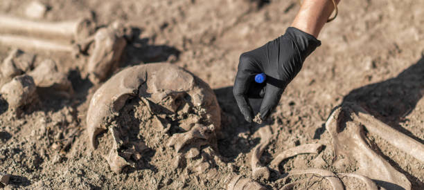 istock Ancient Burial Site- Archaeological Excavations 1307894694