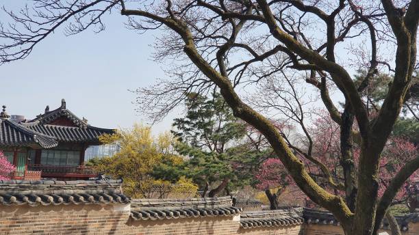 istock The spring in Changdukgung Palace 1307894695
