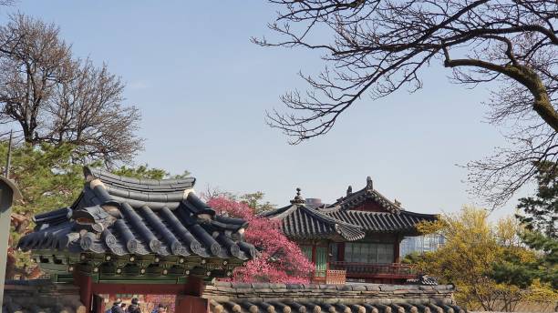 istock The spring in Changdukgung Palace 1307894889