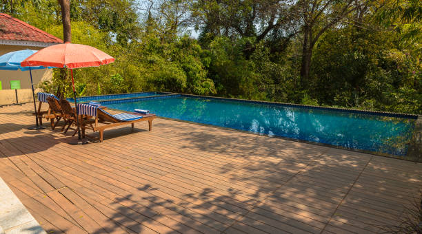 piscina. - luxury hotel palm tree lush foliage asia foto e immagini stock