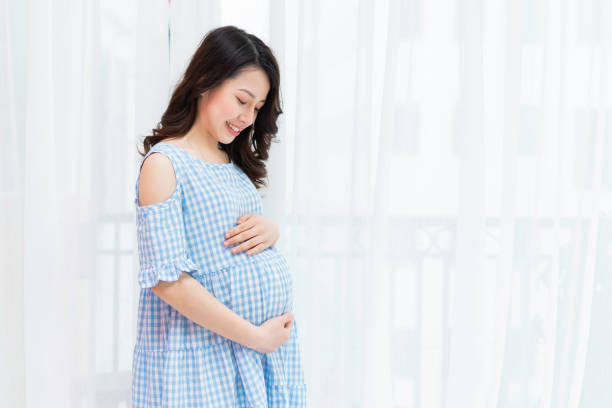 The pregnant woman Beautiful woman holding her pregnant belly by the window vietnam photos stock pictures, royalty-free photos & images