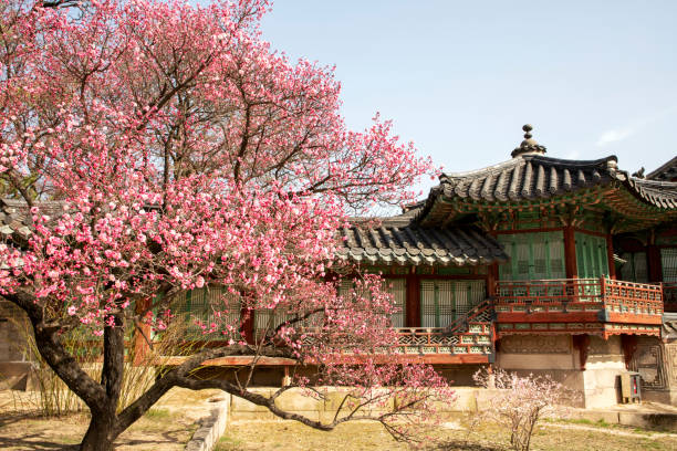 istock The spring in Changdukgung Palace 1307896166