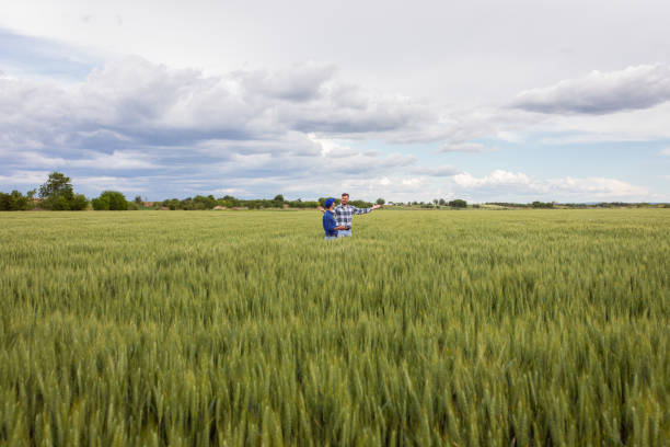 istock Two farmers in green wheat field examining crop. 1307901600