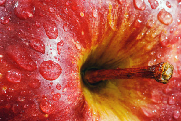 Macro of red apple.Wet ripe apple covered with drops.