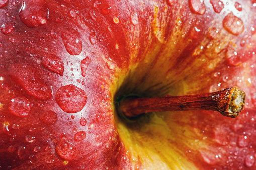 Macro of red apple.Wet ripe apple covered with water drops.