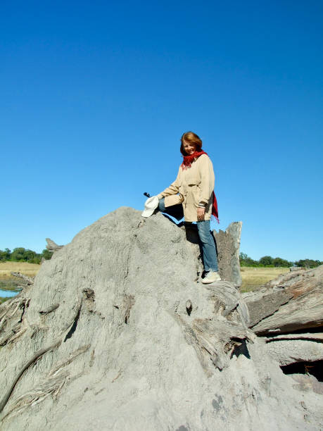 Female tourist Standing on a Termite Mound - Okavango Delta, Botswana Vertical photo of a female tourist on safari in the Okavango Delta, standing near the top of a huge, grey termite mound under a blue sky termite mound stock pictures, royalty-free photos & images