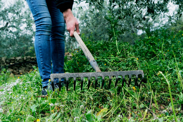 istock removing the cut grass with a hand-rake 1307905517