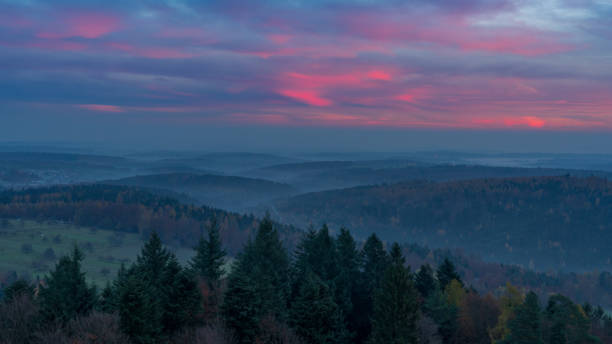 colourful blue hour in the black forest - forest black forest sky night imagens e fotografias de stock