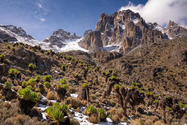 istock Alpine landscape of Mount Kenya 1307912622