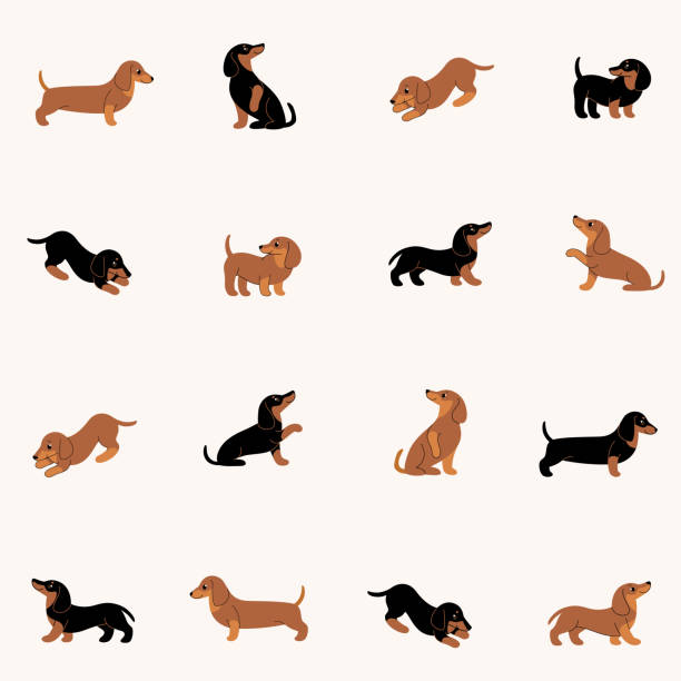 animal Cartoon happy dachshund - simple trendy pattern with dogs. Flat vector illustration for prints, clothing, packaging and postcards. dachshund stock illustrations