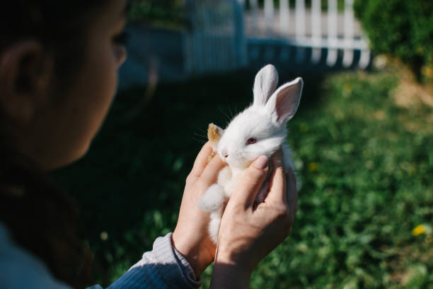 istock Young woman holding white rabbit 1307915836