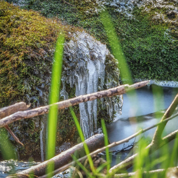 O Brook, DartmoorDevon